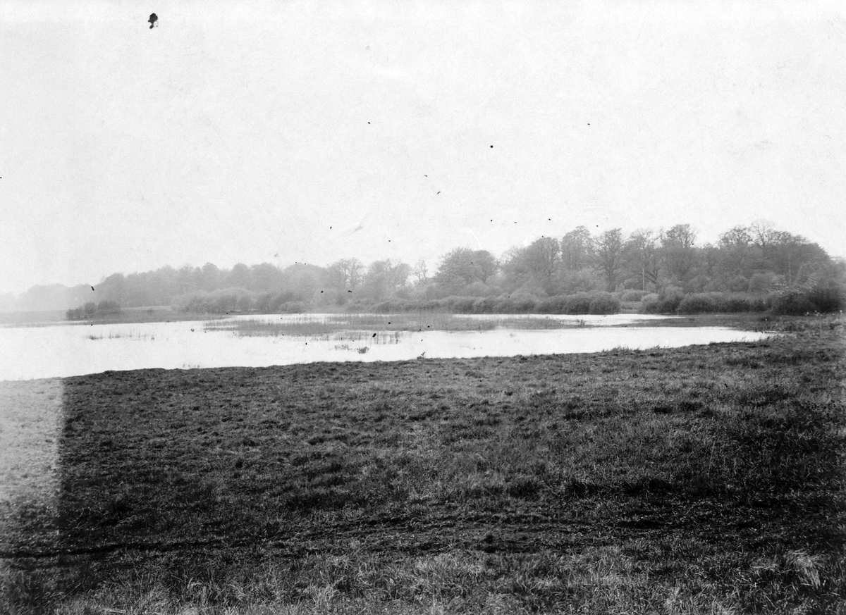 Biotop för smådopping. 9 maj 1916