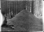 Största myrstacken å Skarhults kronopark i Skåne. 1.80 m hög och i omkrets vid basen c:a 12 m. Kronojägare Nilsson och hans son Petrus på bilden.