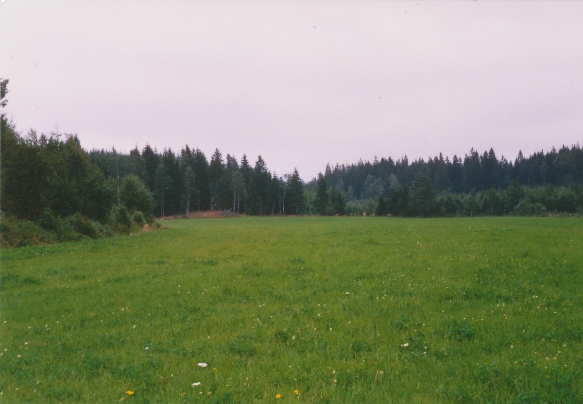 Roasjö sn, Vännibo, Plats för vikingatida skattfynd. Foto: Jan Peder Larsson 24/8 1987