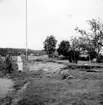 Gravunor, Svenstorp, Starrkärr sn. Foto: W. Ängermark 1964 Vänersborgs musum. Neg A: 100 a urna 1