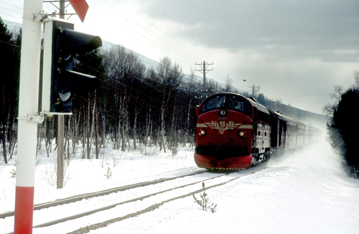 Dagtoget Oslo Ø - Trondheim, hurtigtog 301, ved Røstfossen nord for Os stasjon. Os i Østerdalen. NSB dieselelektrisk Lokomotiv Di 3 605.