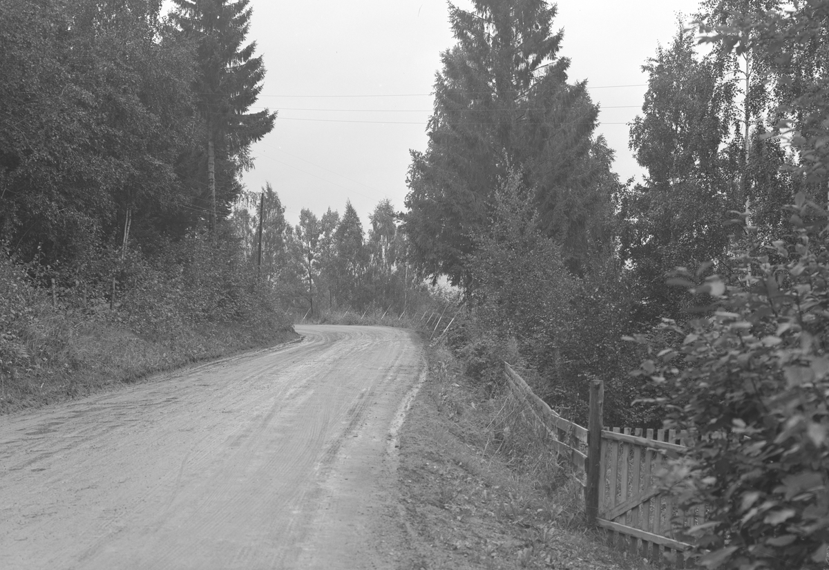 Forsikringselskapet.Skog & Jord. Oslo. Befaring langs Nesvegen i Kvarbergsvika. Brumunddal.  Grusveg, bygdeveg, vaskebrett.