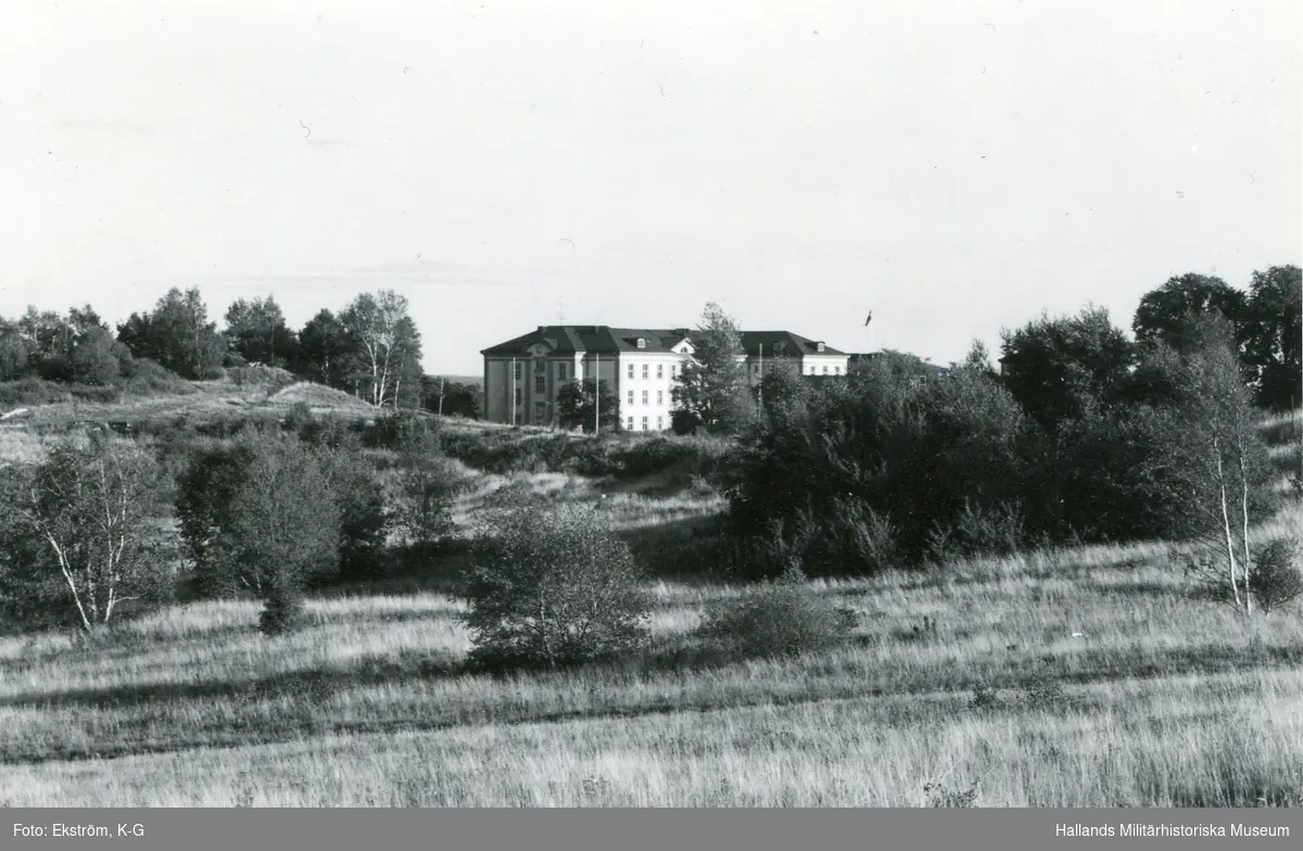 Regementet inbäddad i grönska våren 1989.