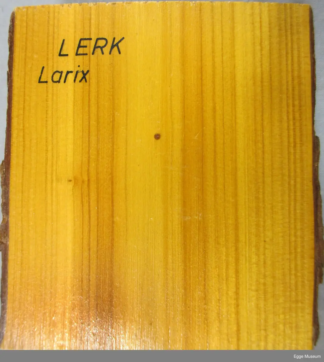 Vedprøve fra Lerk som viser radialsnitt, et tangentialsnitt og tverrsnitt. Prøven er med bark. Alle treflater er pusset og lakkert. Artsnavn er stemplet? på (så lakkert over). Brukt i undervisninga ved Skogskolen på Steinkjer.
