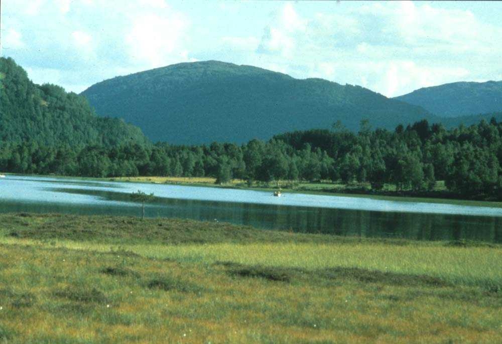 Landskap. Vestlandet. Idyllisk parti fra en innsjø på Vestlandet med barn og båt en varm sommerdag.



























































































































































































































































































































































































































































































