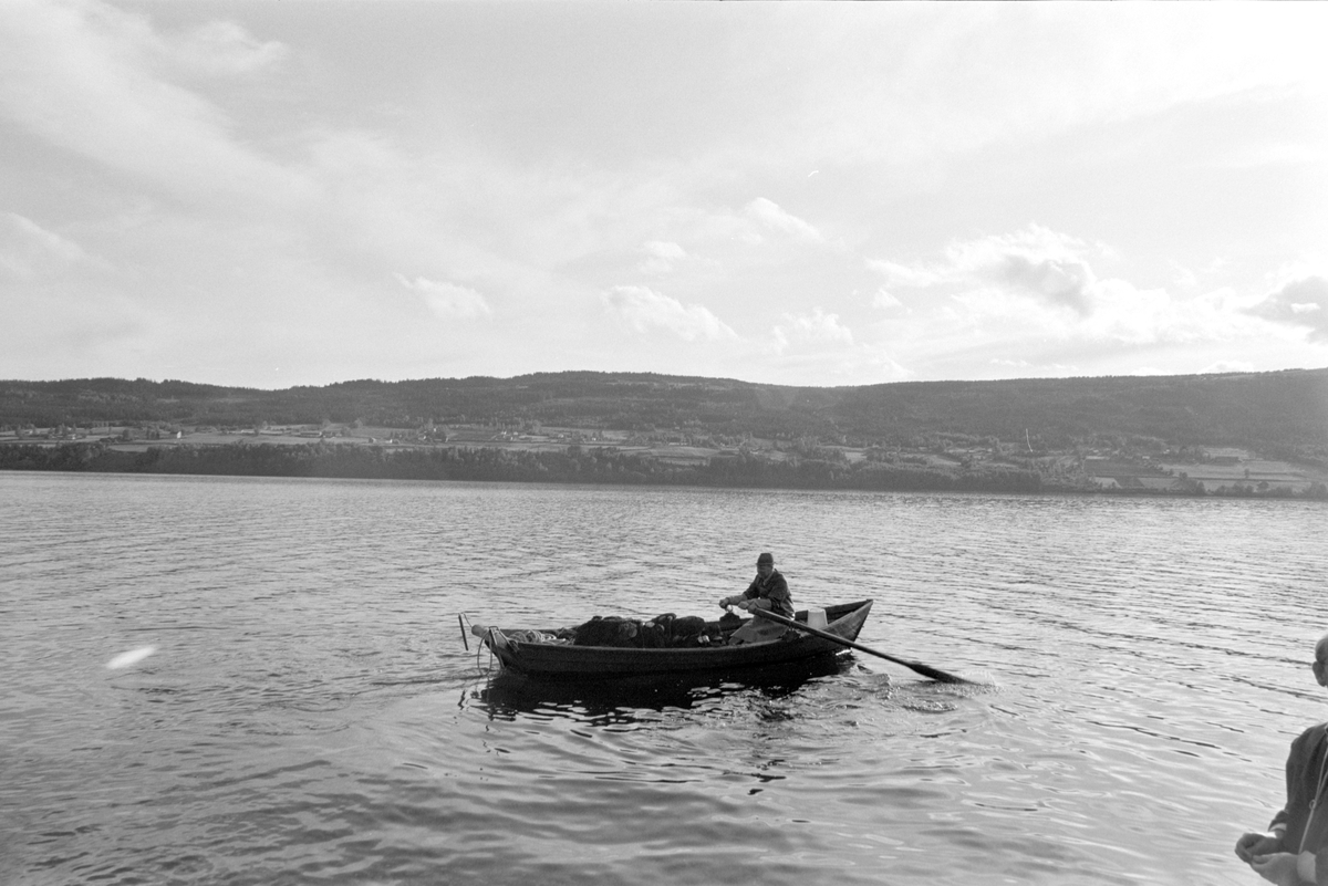 Lågåsild, lagsildfiske, på Ring i Ringsaker. 