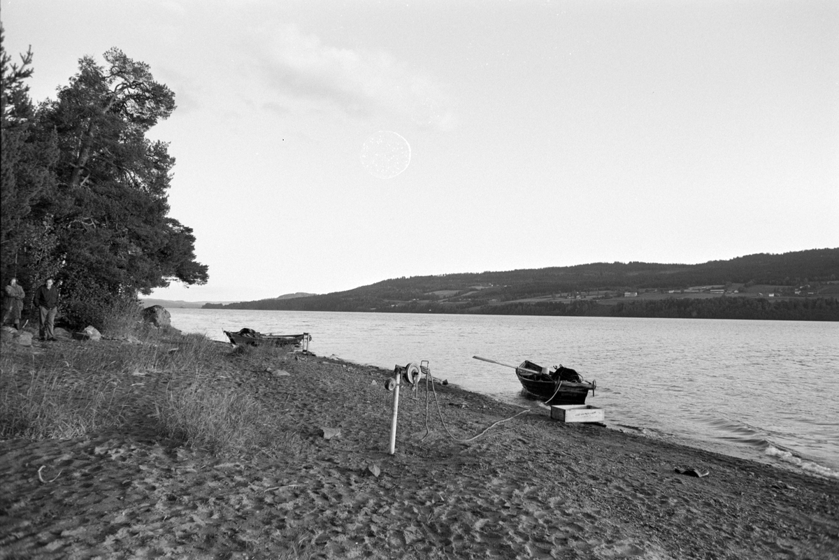 Lågåsild, lagsildfiske, på Ring i Ringsaker. 