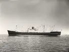 Lastmotorfartyget ASTRID BAKKE. Foto från Köpenhamn juni månad 1959.