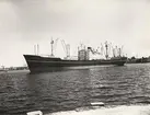 Lastmotorfartyget ASTRID BAKKE. Foto från Köpenhamn juni månad 1959.