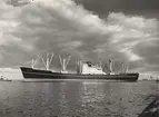 Lastmotorfartyget ASTRID BAKKE. Fotot taget den 26.5.1960