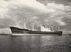 Lastmotorfartyget ASTRID BAKKE. Fotot taget den 26.5.1960