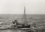 M/S BARBRO av Hamburgsund på Vänern 1962.