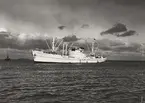 M/S BENNY SKOU.