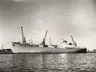 Foto i svartvitt visande lastmotorfartyget BUENOS AIRES. Fotot taget i Köpenhamn juni månad 1960.