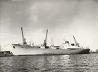 Foto i svartvitt visande lastmotorfartyget BUENOS AIRES taget i Köpenhamn något av åren 1958-62.
