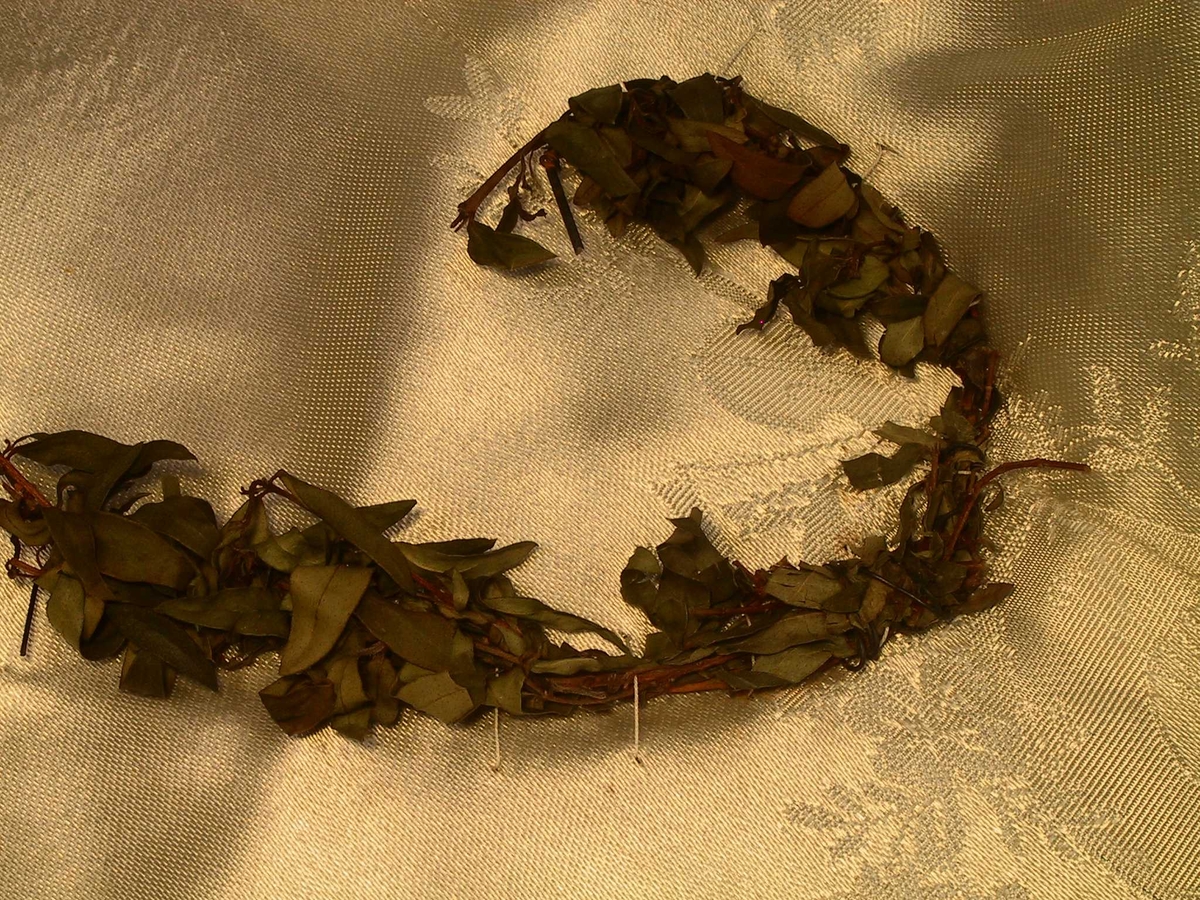 Strengeinstrument, blader, blomster.