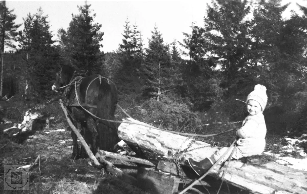 Barnearbeid i skogen