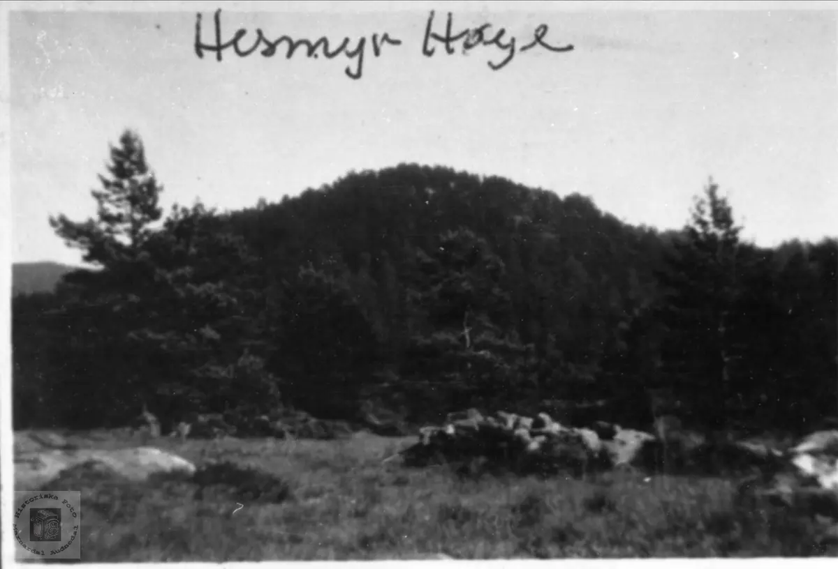 Hessmyr, Høye