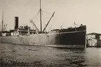 Lastångfartyget DELAGOA
av Stockholm. Foto febr. 1906.