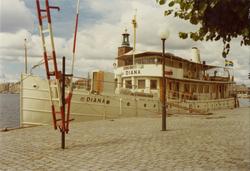 Foto i färg visande passagerarmotorfartyget DIANA av Lidköpi