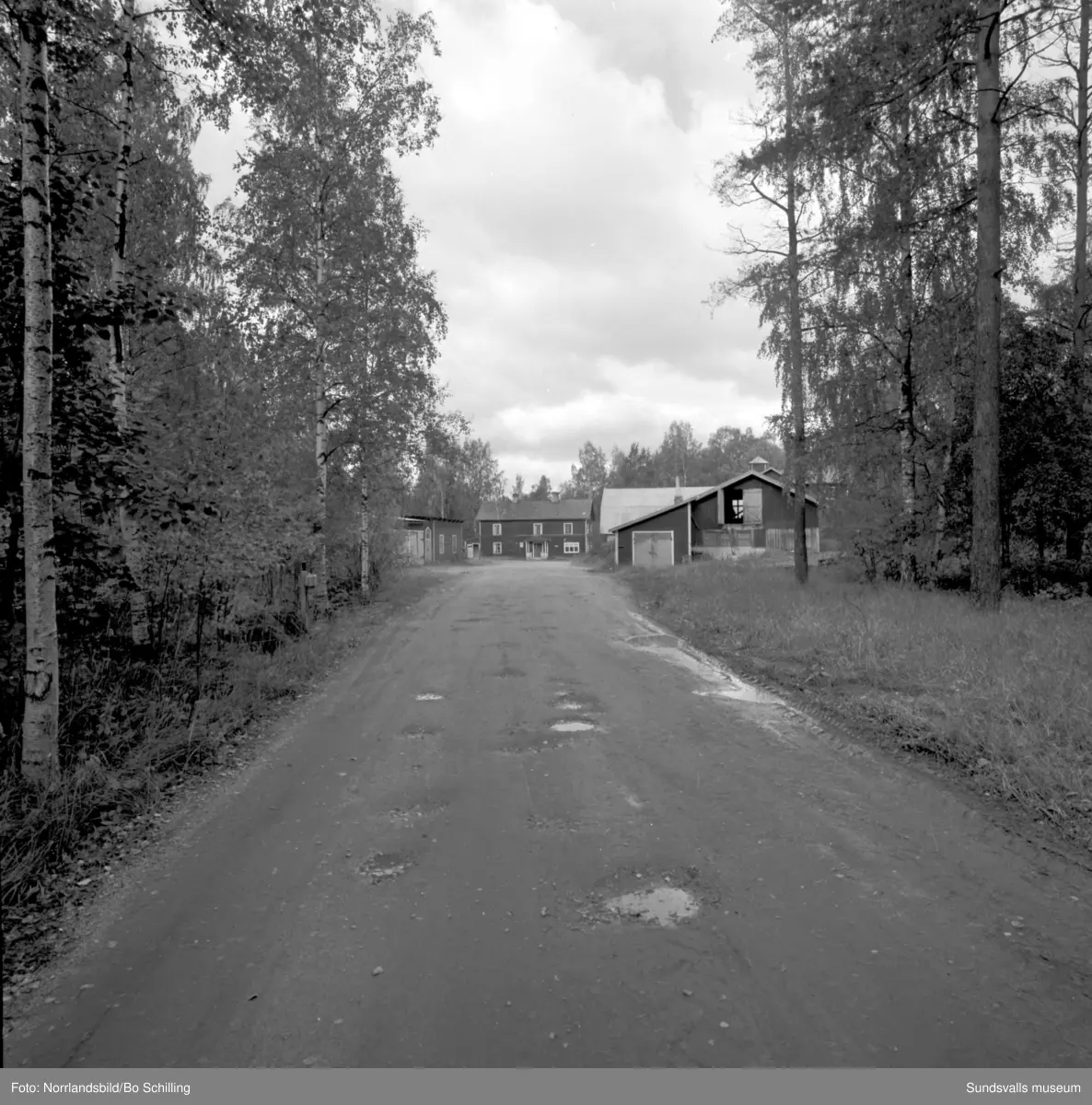 En stor grupp bilder från Ljungaverk, byggnader, gårdar, terräng och landskap. Fotograferat för Fosfatbolaget.