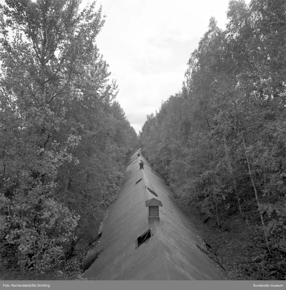 En stor grupp bilder från Ljungaverk, byggnader, gårdar, terräng och landskap. Fotograferat för Fosfatbolaget.
