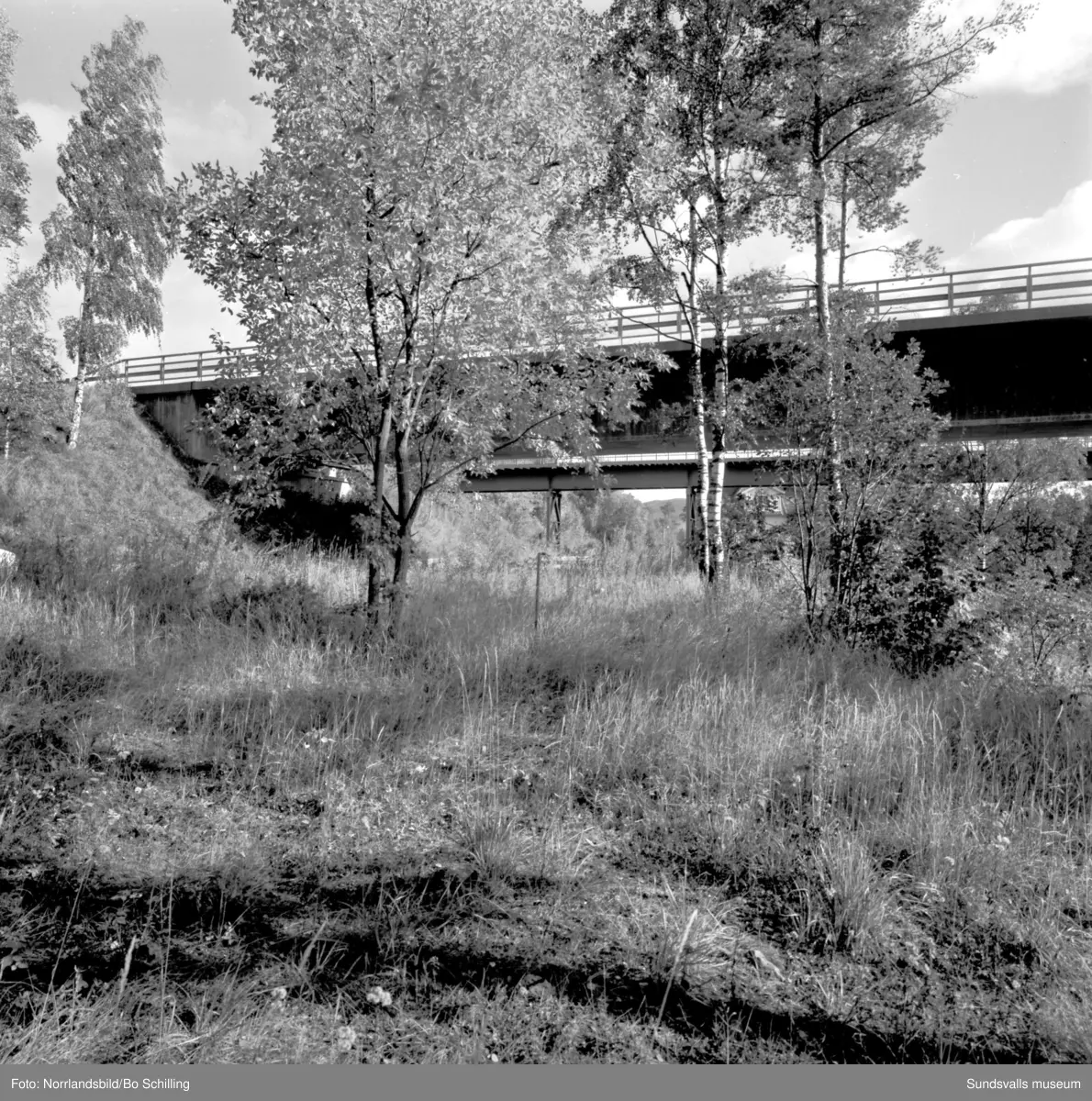 En stor grupp bilder från Ljungaverk, byggnader, gårdar, terräng och landskap. Fotograferat för Fosfatbolaget.