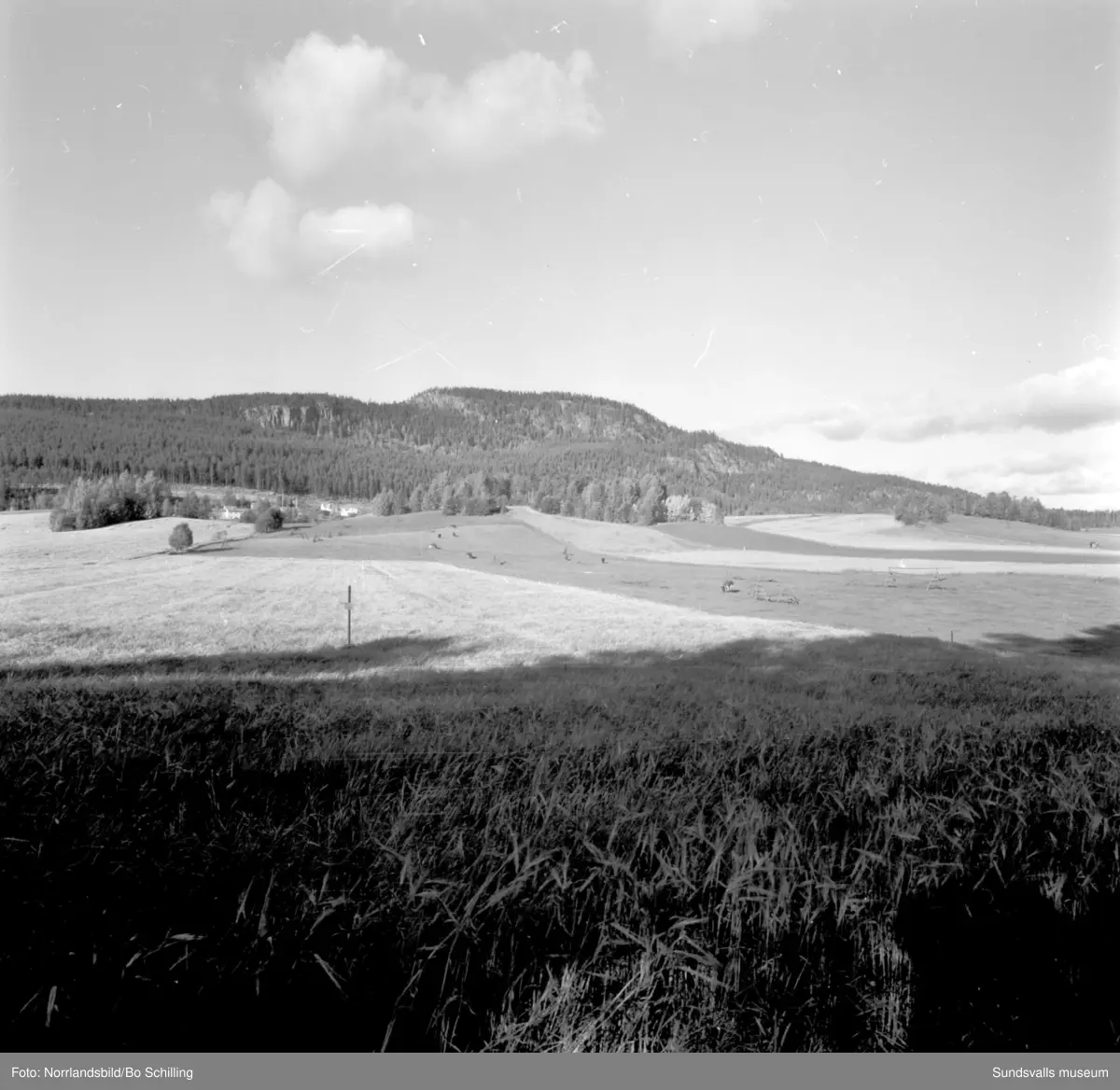 En stor grupp bilder från Ljungaverk, byggnader, gårdar, terräng och landskap. Fotograferat för Fosfatbolaget.