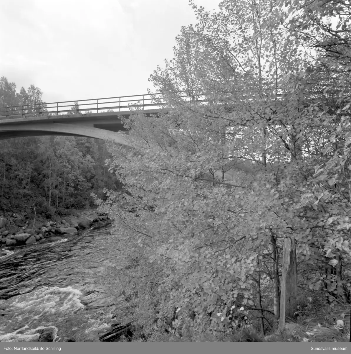En stor grupp bilder från Ljungaverk, byggnader, gårdar, terräng och landskap. Fotograferat för Fosfatbolaget.