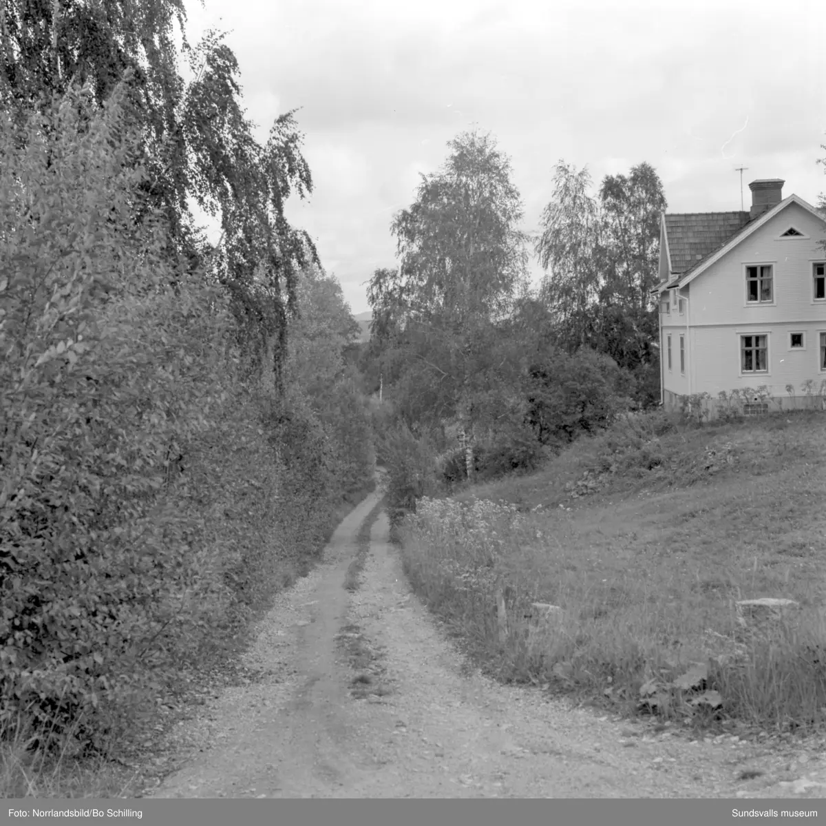 En stor grupp bilder från Ljungaverk, byggnader, gårdar, terräng och landskap. Fotograferat för Fosfatbolaget.