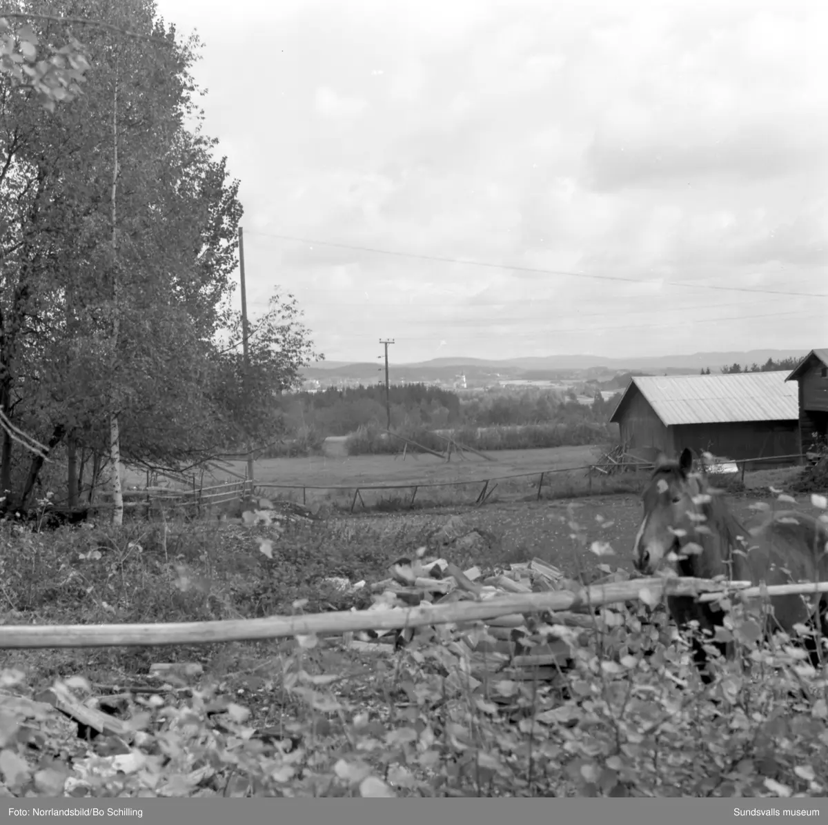 En stor grupp bilder från Ljungaverk, byggnader, gårdar, terräng och landskap. Fotograferat för Fosfatbolaget.