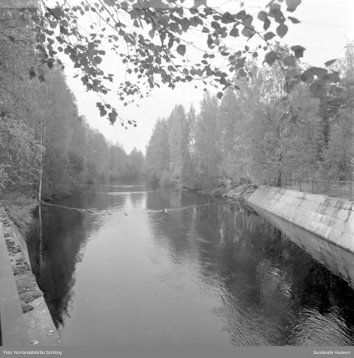 En stor grupp bilder från Ljungaverk, byggnader, gårdar, terräng och landskap. Fotograferat för Fosfatbolaget.