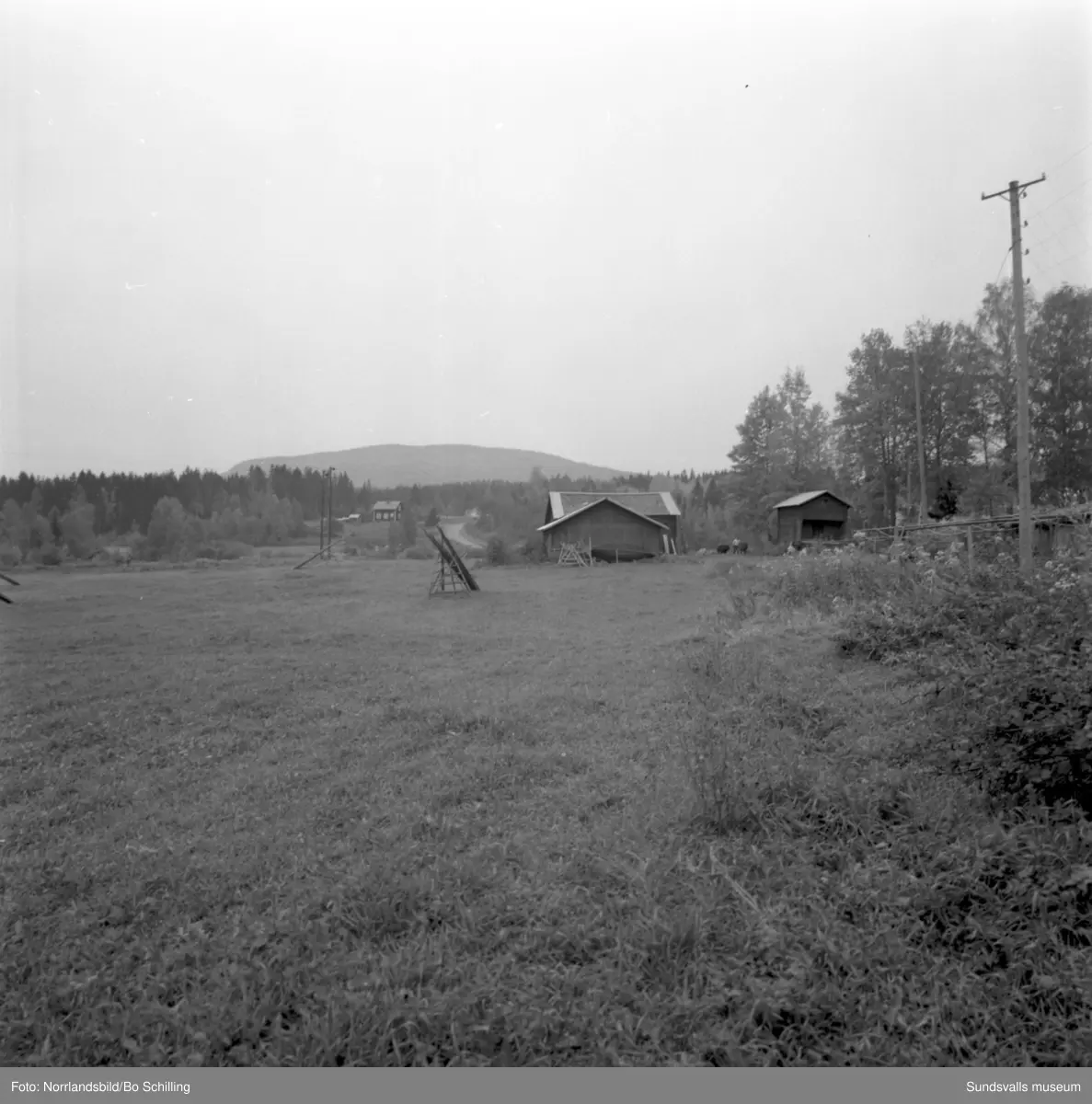 En stor grupp bilder från Ljungaverk, byggnader, gårdar, terräng och landskap. Fotograferat för Fosfatbolaget.