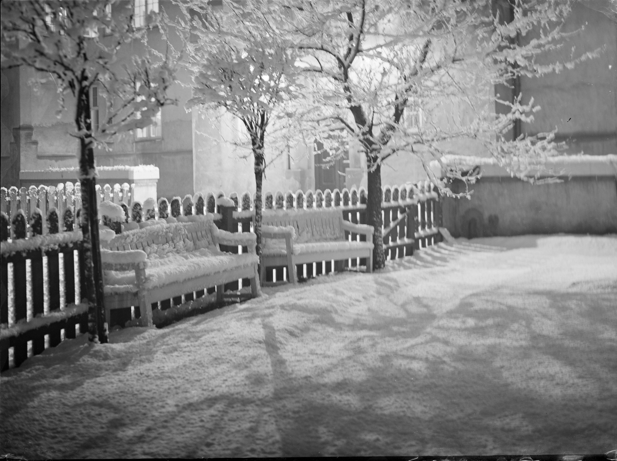 Ungkarspensjonat (Mandheimen), nesnødde hagebenker i parken på utsiden.