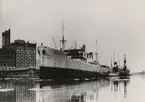 M/S EKNAREN av Göteborg efter bärgningen införd Kalmar. Strandad 1928 vid Idö.