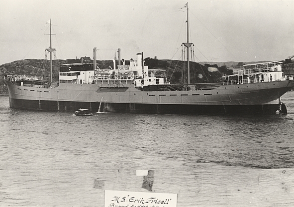 M.S. "Erik Frisell".