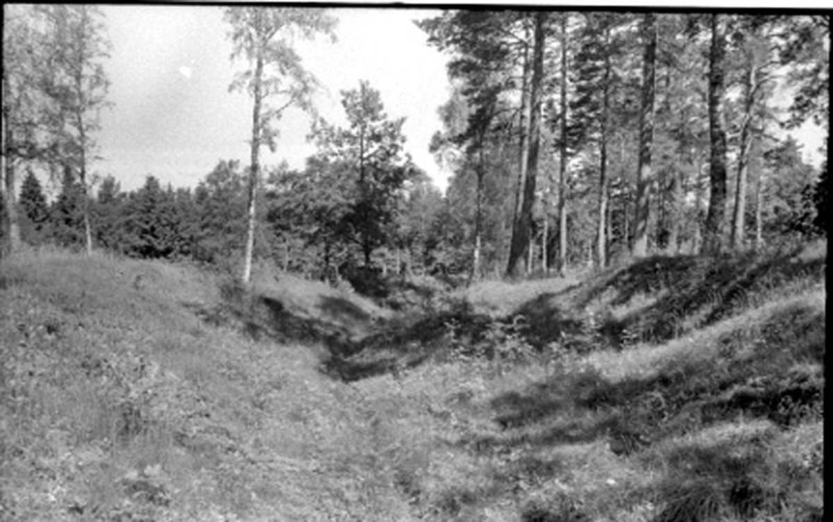 Fornlämning.  Roasjö