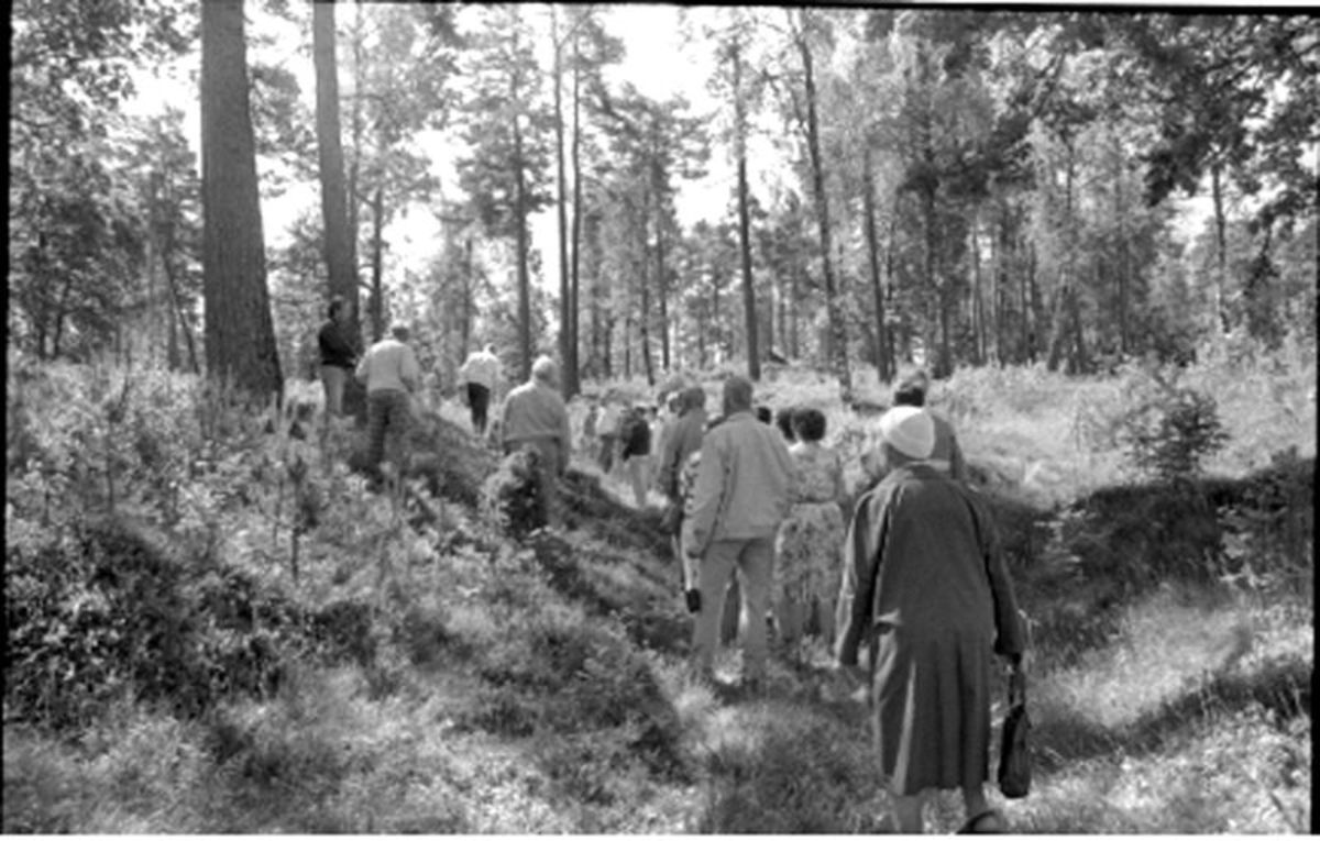 Fornlämning.  Roasjö