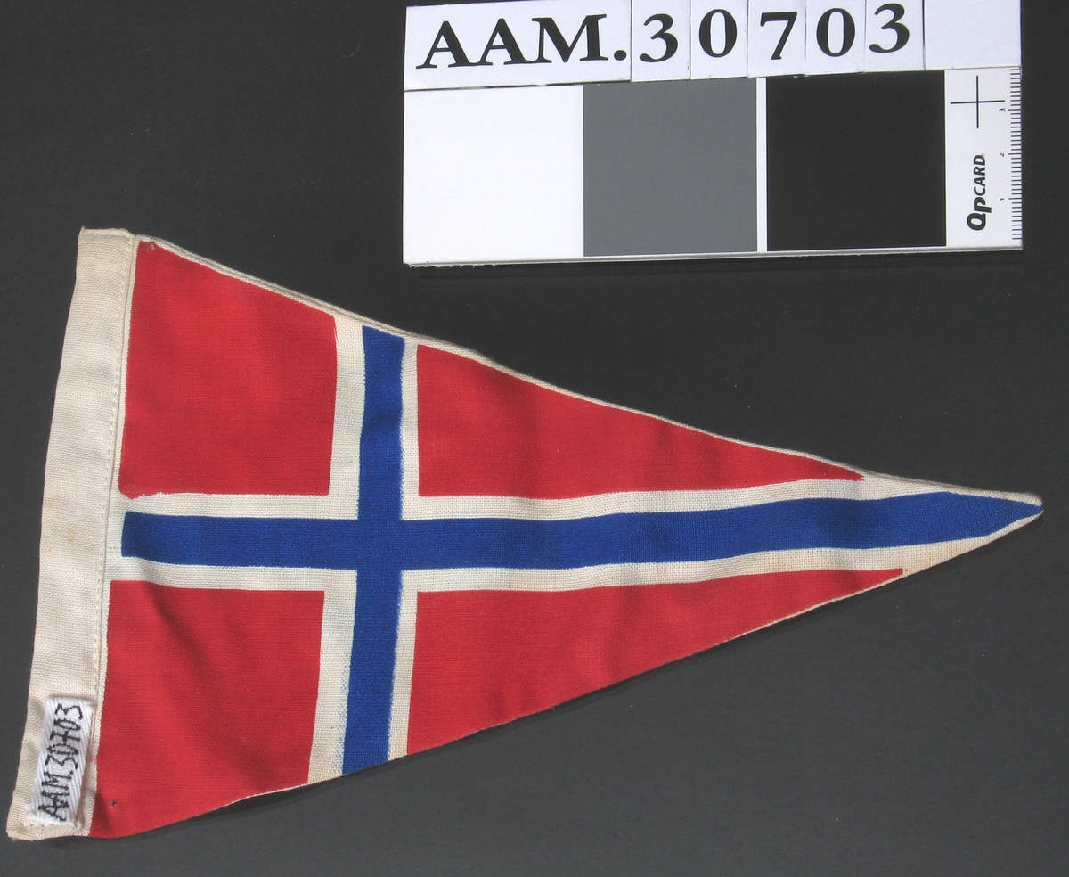 På den ene siden: det norske flagget. På den andre siden: landskap med fjell, vann, himmel, trær.