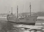 Lastfartyget m/s FENJA av Västervik 1967.