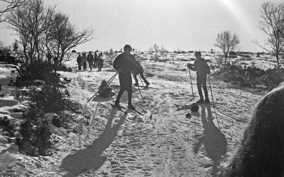 Olalia - 21/2 - 1972