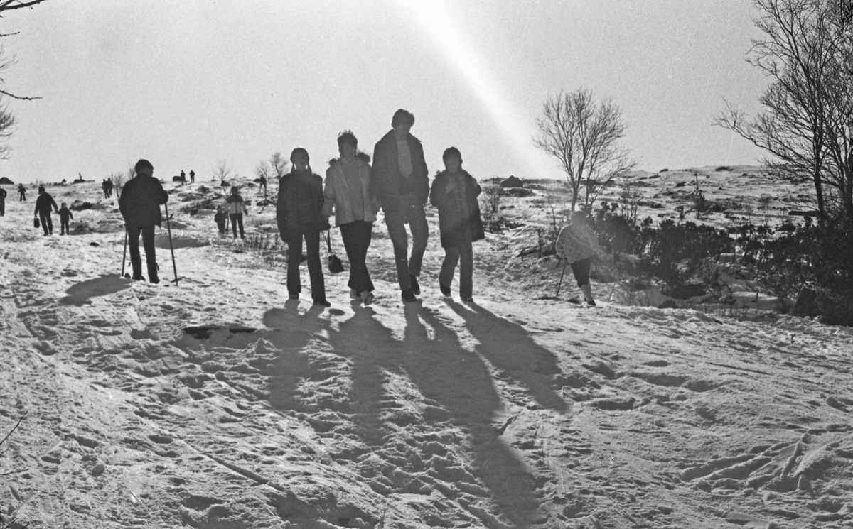 Olalia - 21/2 - 1972