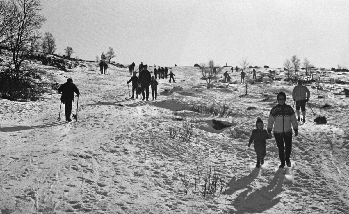 Olalia - 21/2 - 1972