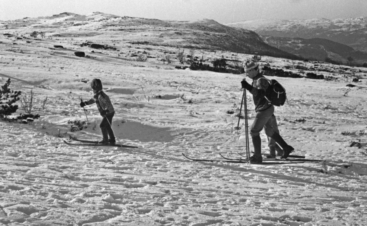 Olalia - 21/2 - 1972