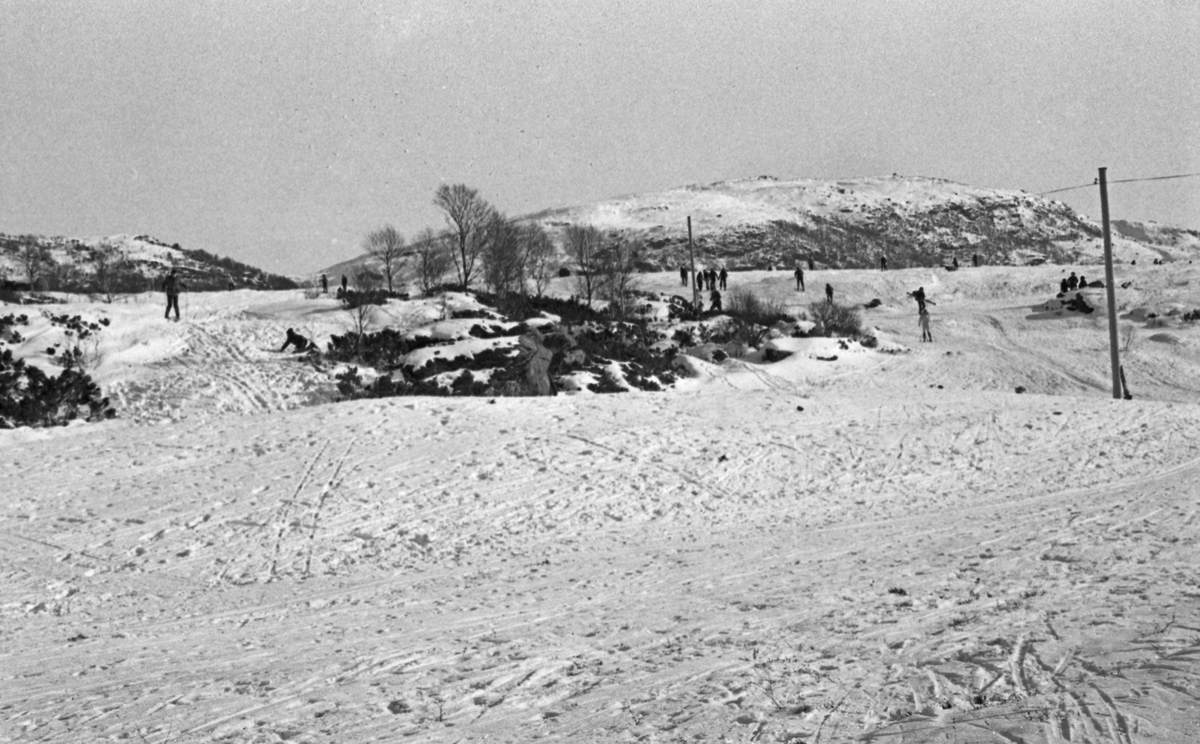 Olalia - 21/2 - 1972