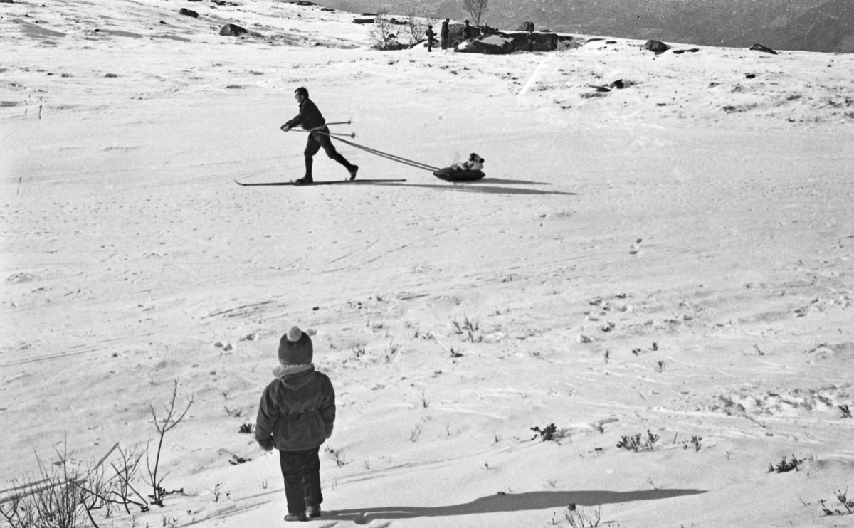 Olalia - 21/2 - 1972