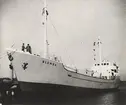 Lastmotorfartyget BLENDA av Stockholm. Foto från provturen vid Gåshaga den 7/10 1951.
