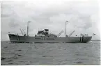 M/S BOHUS.