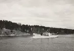 Ångfartyget EDDA. Foto taget i Ramsösund mellan Ramsö - Vegabryggan den 10.5.1927.