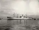 M/S EIDANGER. Foto från Köpenhamn den 7.10.1957.